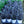 Load image into Gallery viewer, Ornamental Pepper
