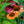 Load image into Gallery viewer, PRIMA Ginger Coneflower