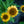 Load image into Gallery viewer, PRIMA Ginger Coneflower