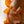 Load image into Gallery viewer, Paperbark Maple - Maple - Shade Trees
