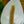 Load image into Gallery viewer, Peacy Lily - Other Houseplants - Houseplants