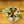 Load image into Gallery viewer, Pink Princess Philodendron