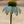 Load image into Gallery viewer, PowWow White Coneflower
