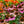 Load image into Gallery viewer, Prairie Splendor Coneflower