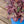 Load image into Gallery viewer, Puff Pastry White Chocolate Stonecrop