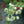 Load image into Gallery viewer, Rattlesnake Master