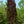 Load image into Gallery viewer, Red Obelisk European Beech - Beech - Shade Trees
