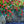 Load image into Gallery viewer, Red Sprite Winterberry Holly