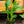 Load image into Gallery viewer, Canna Lily