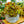 Load image into Gallery viewer, Rex Begonia