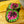 Load image into Gallery viewer, Rex Begonia
