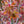 Load image into Gallery viewer, Ruby Stars Japanese Maple