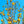 Load image into Gallery viewer, Sunsation Magnolia - Magnolia - Flowering Trees
