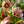 Load image into Gallery viewer, Sandy Shores Lenten Rose