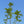 Load image into Gallery viewer, Sargent Rowan