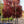 Load image into Gallery viewer, Scarlet Oak