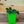 Load image into Gallery viewer, Lime Zinger Sedum - Sedum Succulents - Perennials
