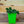 Load image into Gallery viewer, Lime Zinger Sedum - Sedum Succulents - Perennials