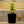 Load image into Gallery viewer, Sempervivum Living Canvas