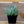 Load image into Gallery viewer, Sempervivum Living Canvas