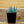 Load image into Gallery viewer, Sempervivum Living Canvas