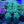 Load image into Gallery viewer, Silver Carpet Lamb's Ear