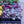 Load image into Gallery viewer, Silver Scrolls Coral Bells