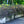 Load image into Gallery viewer, Spilled Wine Weigela