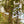 Load image into Gallery viewer, String of Arrows