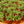 Load image into Gallery viewer, String of Pearls