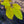 Load image into Gallery viewer, Tokyo Tower Chinese Fringe Tree