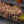 Load image into Gallery viewer, Tricolor Stonecrop