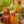 Load image into Gallery viewer, Tropical Pitcher Plant