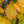 Load image into Gallery viewer, Vanessa Persian Ironwood