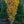 Load image into Gallery viewer, Vanessa Persian Ironwood