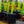 Load image into Gallery viewer, Variegated African Milk Tree - Other Houseplants - Houseplants
