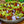 Load image into Gallery viewer, Venus Fly Trap - Other Houseplants - Houseplants