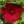 Load image into Gallery viewer, Vintage Wine Hibiscus