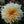 Load image into Gallery viewer, Dahlia