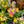 Load image into Gallery viewer, Wallflower