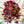 Load image into Gallery viewer, Wandering Jew