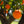 Load image into Gallery viewer, Washington Navel Orange