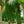 Load image into Gallery viewer, Weeping European Beech - Beech - Shade Trees