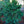 Load image into Gallery viewer, Weiss Norway Spruce