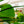 Load image into Gallery viewer, White Bird of Paradise