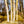 Load image into Gallery viewer, Whitebarked Himalayan Birch - Birch - Shade Trees
