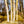 Load image into Gallery viewer, Whitebarked Himalayan Birch - Birch - Shade Trees