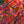 Load image into Gallery viewer, Wildfire Black Gum