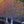 Load image into Gallery viewer, Wildfire Black Gum