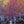 Load image into Gallery viewer, Wildfire Black Gum